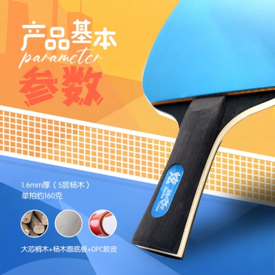 双鱼（DOUBLE FISH）乒乓球拍炫系列初学者球拍时尚多彩直拍横拍对拍 横拍-紫色